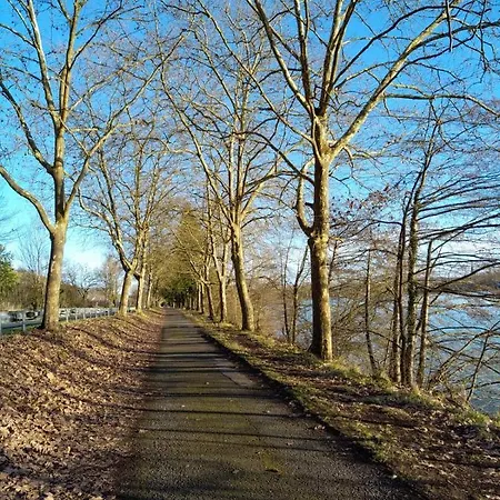 Le Petit Jazz Du * Marciac